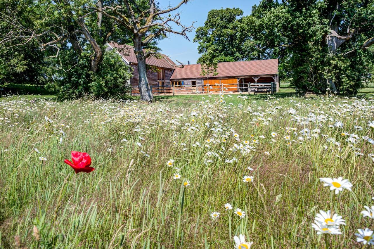 South Park Farm Barn Bed and Breakfast Andover Buitenkant foto