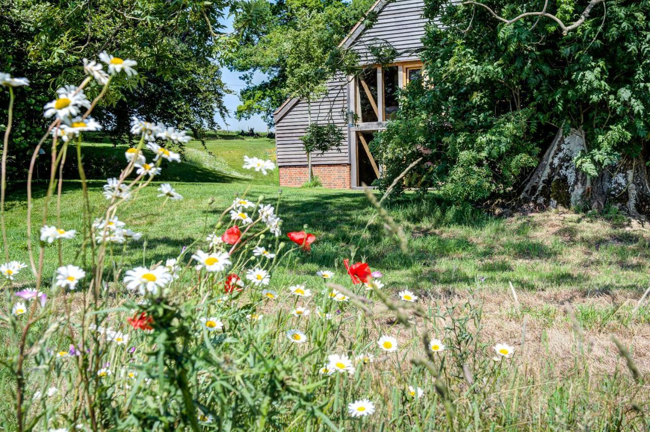 South Park Farm Barn Bed and Breakfast Andover Buitenkant foto